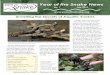 Unveiling the Secrets of Aquatic Snakes€¦ · Unveiling the Secrets of Aquatic Snakes By Andrew M. Durso Eastern North America is graced with numerous species of aquatic and semi-aquatic