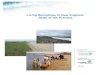 Living Shorelines in New England: State of the Practice€¦ · Living Shorelines in New England: State of the Practice Prepared For: The Nature Conservancy Prepared By: Woods Hole