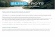 Blindspots - Christ Church | Christ Church Illinois€¦ · Blindspots WHAT ARE YOU NOT SEEING? 1. Did you check your blindspot last week? If so, how did it go? 2. Read Genesis 25:28