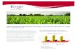 Fungicide with Xylem Pro Technology gets into the plant ... Sweet C… · sweet corn, at application rates of just ounces per acre. EVITO is the next generation, low-use fungicide