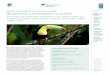 PROJECT ACHIEVEMENTS AND LESSONS LEARNED Biodiversity ... · Biodiversity Conservation in Coffee Funding Agency: Global Environment Facility (GEF) ... Green Mountain Coffee Roasters’