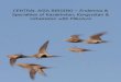 CENTRAL ASIA BIRDING Endemics & Specialties of Kazakhstan ...miksture.com/file/Central Asia Birding - Endemics and Specialities of... · Specialties of Kazakhstan, Kyrgyzstan & Uzbekistan