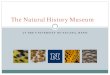 The Natural History Museum - University of Nevada, Renonaes.unr.edu/springvalleyworkshop/presentations/Barga_Presentatio… · The Natural History Museum . Talk Overview ... Great