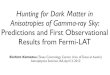 Hunting for Dark Matter in Anisotropies of Gamma-ray Sky ...€¦ · Anisotropies of Gamma-ray Sky: Predictions and First Observational Results from Fermi-LAT Eiichiro Komatsu (Texas