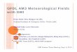 GFDL AM3 Meteorological Fields with GMI€¦ · GFDL AM3 Meteorological Fields with GMI Hyun-Deok Choi, Hongyu Liu (PI) National Institute of Aerospace (NIA) / NASA LaRC Vaishali