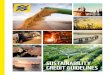 SUSTAINABILITY CREDIT GUIDELINES - Amazon S3€¦ · SUSTAINABILITY CREDIT GUIDELINES. 2 3 B anco do Brasil’s Sustainability Credit Guidelines for Agribusiness, Irrigated Agriculture,