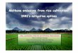 IRRI’s mitigation options emissions.pdf · Methane emissions from rice cultivation: IRRI’s mitigation options Ma. Carmelita Alberto and Reiner Wassmann Rice & Climate Change Crop