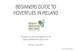 BEGINNERS GUIDE TO HOVERFLIES IN IRELAND · BEGINNERS GUIDE This is NOT a key. It is simply intended as a guide to help make hoverflies more accessible to beginners. It refers only