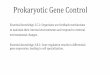 Prokaryotic Gene Control - scott.k12.ky.us Gen… · Prokaryotic Gene Control Essential knowledge 2.C.1: Organisms use feedback mechanisms to maintain their internal environments