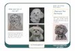 Spider Lake Designs Florie Enders Show your love of your ...€¦ · Charcoal Pet Portraits Show your love of your pet! Spider Lake Designs Florie Enders Have you hugged your pet