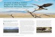 A new exhibit takes flight in the Draper Natural History ...€¦ · member of our exhibit development team. By early 2016, we were ready to contact an external exhibit design and