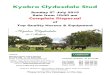 Kyabra Clydesdale Stud - WordPress.com€¦ · Kyabra Clydesdale Stud Sunday 5th July 2015 Sale from 10:00 am Complete Dispersal of Top Quality Horses & Equipment Vendors: Michael