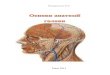 Помаранська Н.Єrpl.ucoz.com/Navchannay/anatomija_posibnik_1.pdf · Будова шкіри. 9 шкірі і здоров’я колагеновим волокнам,