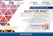 AUDITOR SG-SST (Dec. 1072) - Consejo Colombiano de Seguridad · evaluación RUC – Evaluación del Sistema de Gestión de Seguridad, Salud en el Trabajo y Ambiente para contratistas