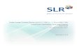 SLR Third-Party Verification FINAL FIRST AUDIT REPORT 5Nov2018 · SLR Third-Party Verification FINAL FIRST AUDIT REPORT_5Nov2018.docx November 5, 2018 2 submitted documentation of