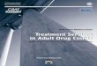 Treatment Services in Adult Drug Courts: Report on the1999 ...Treatment Services in Adult Drug Courts Report on the 1999 National Drug Court Treatment Survey National TASC Prepared