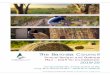 The Barossa Council · The Barossa experience is a diverse one. In addition to ... Mount Pleasant, Nuriootpa, Penrice, Pewsey Vale, Rosedale, Rowland Flat, Sandy Creek, Springton,