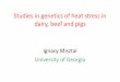 Studies in genetics of heat stress in dairy, beef and pigsnce.ads.uga.edu/wp-content/uploads/2018/07/PAG18_heat_stress.pdf · ssGBLUP for Heat Stress in Holsteins (Aguilar, 2011)