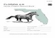 FLORIDA 4-H · FLORIDA 4-H Horse Project Record Book ... Keep an accurate and up-to-date record book. 3 INVENTORY Horses or Ponies you own or use as project animals at start of project