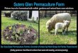 Suters Glen Permaculture Farm · permaculture literature that calls us to mimic natural systems so that we can produce more with less work. Since we bought Suters Glen in 2015, we