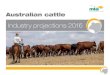 2 Content pages Australian Cattle Industry Projections 2016 · 2 MLA’s Market information & Industry insights – Australian cattle industry projections 2016 Key assumptions As