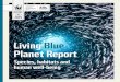 Living Blue Planet Report - WWFLiving Blue Planet Report page 6 Chapter 1: The state of our blue planet page 7 the marine Living Planet Index 0 1 2 1970 1980 1990 2000 2010 Index value