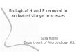 Biological N and P removal in activated sludge processes · Biological N and P removal in activated sludge processes Sara Hallin Department of Microbiology, SLU. Metabolism. ... Biological