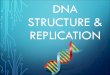 DNA Structure & Replication - Jaguar Biologyjaguarbiology.weebly.com/uploads/5/9/8/6/59865823/... · DNA REPLICATION •DNA Replication is the copying process by which a cell duplicates