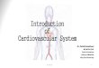 Introduction of Cardiovascular Systemksumsc.com/download_center/1st/1. Foundation Block... · Zkaimkhani 8 Cardiovascular System Foundation Block 4 CHAMBERS , Two Atria (Right & Left)
