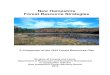 New Hampshire Forest Resource Strategies - NH.govForests and Lands has developed the New Hampshire Forest Resource Strategies under the guidance of the New Hampshire Forest Advisory