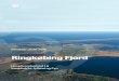 Ringkøbing Fjord - Naturstyrelsennaturstyrelsen.dk/media/nst/66584/1_8_Ringkoebing_Fjord...Resume: Vandplan for Hovedvandopland 1.8 Ringkøbing Fjord. Vandplanen skal sikre at søer,