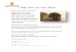 Baby Sea Lion Fact Sheet - Mr. Nussbaum Lion Fact Sheet.pdfother sea lions. Sea lions live in coastal areas all over the world. Seals and sea lions look the same, but sea lions have