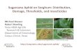 Sugarcane Aphid on Sorghum: Distribution, Thresholds, and … · 2014-12-15 · Sugarcane Aphid Occurrence on Sorghum 2013-2014, some unconfirmed detections in 2012 I. Distribution