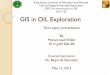 Term 122 GIS in OIL Exploration - KFUPM...GIS subsurface modeling tools allow the geologists to present well and subsurface data. Gulf of Mexico: One of the biggest oil producing field