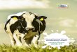 CORPORATE BROCHURE 2016-17 - Dodla Dairy · 6 Corporate Brochure 2016-17 Review By Managing Director Global Vision: Our goal is to be a multinational dairy company by setting up our