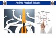 Andhra Pradesh Prisons Department came into existence on …...Andhra Pradesh Prisons Department came into existence on 1st November, 1956 Andhra Pradesh Prisons Department is considered