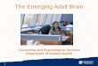 Supporting the Emerging Adult Brain - Student Health · To provide a basic understanding of the emerging adult brain and how you can support healthy development ... Brainstorm: The