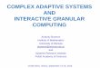 COMPLEX ADAPTIVE SYSTEMS AND INTERACTIVE GRANULAR … Skowron.pdf · Constructing the physical part of the theory and unifying it. with the mathematical part should be considered