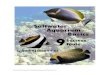 Hi to all my fellow saltwater aquarium enthusiasts,saltwateraquariumadvice.com/9-Success-Tools.pdf · Hi to all my fellow saltwater aquarium enthusiasts, Welcome to my 9 success tools