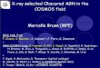 X-ray selected Obscured AGN in the COSMOS field Marcella ... · Obscured AGN - Seeon - June 2007 Motivation of the XMM-COSMOS project XMM-COSMOS field: - XMM mosaic, 1865 sources