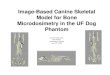 Image-Based Canine Skeletal Model for Bone Microdosimetry ... · PDF file Image-Based Canine Skeletal Model for Bone Microdosimetry in the UF Dog Phantom Laura Padilla, M.S. NIH Fellow