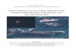 Marine Mammal and Sea Turtle Sightings in the … Mammal and...VAQF Scientific Report 2015-06 2 The survey platform was a DeHavilland twin otter DHC‐6, a twin engine fixed-wing aircraft,