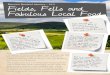 Discover Bowland Itinerary – N o Fields, Fells and ... · Great Orme on the North Wales coast. Birds such as meadow pipits and skylarks are common on the fell, while the more fortunate