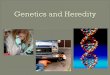Genetics and Heredity - Worcester ALC · Rules of Heredity 㽋We use the letters of the alphabet as gene symbols to represent genes. 㽋Every characteristics is caused by at least