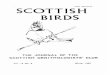 ISSN 0036-9144 SCOTTISH BIRDS - Welcome to the Scottish ... · CONTENTS OF VOLUME 12, NUMBER 8, WINTER 1983 Page Editorial 237 Photographic Competition Results 238 The Status of the