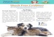 Shock Free Coalition - The Pet Professional Guild Shock... · Shock Free Coalition is to build a strong and broad movement committed to eliminating shock devices ... the help of the