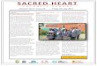 SA RED HEARTfluencycontent2-schoolwebsite.netdna-ssl.com/File... · SA RED HEART AT H O L I S H O O L Summer Term—Issue 23 Friday 7th July 2017 Dear Parents, Guardians and Students,