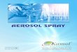 AEROSOL SPRAY...Mouth Freshner Herbal Spray is a sugar free, non - alcoholicand completely herbal, instant mouth freshener spray. One spray leaves your mouth feeling cool and your