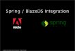 Spring / BlazeDS Integration · 2009-07-01 · Spring BlazeDS Integration - Advanced Customization Several hooks are provided for advanced customization ExceptionTranslator MessageInterceptor