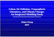 Urban Air Pollution, Tropospheric Chemistry, and …Linking Urban Pollution, Tropospheric Chemistry and Climate Change Impact of urban air pollution on global tropospheric chemistry